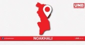 2 children killed in Noakhali road crash