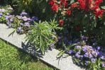 A Capitol offense? Cannabis found in Statehouse flower beds